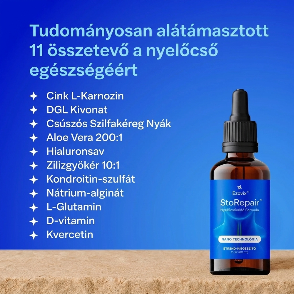 Ezovix - StoRepair