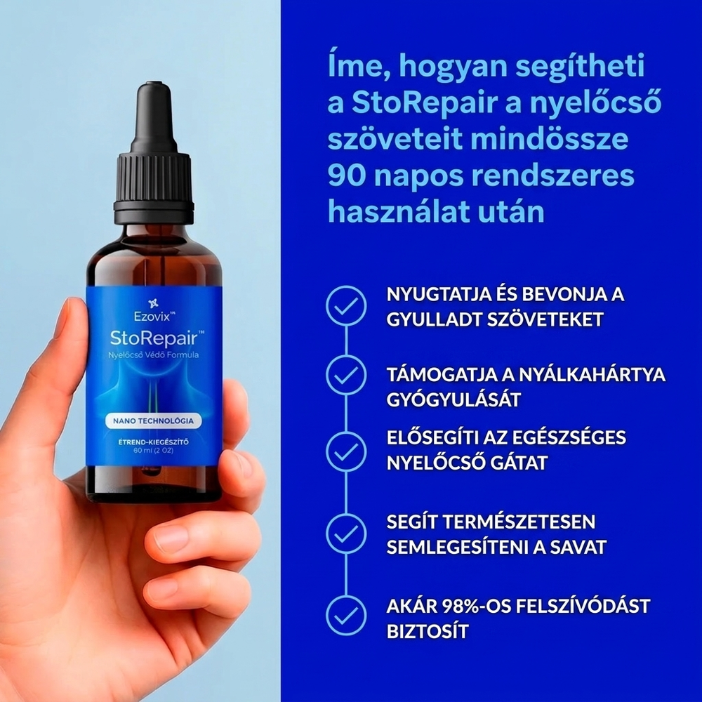 Ezovix - StoRepair