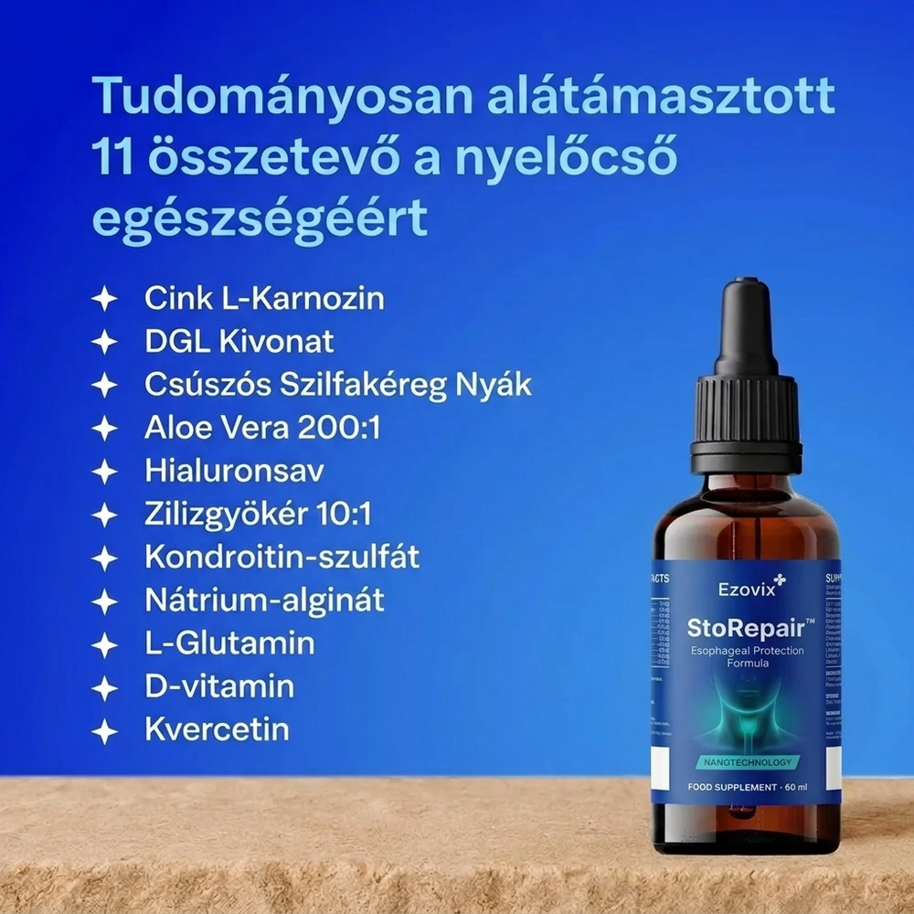 Ezovix - StoRepair