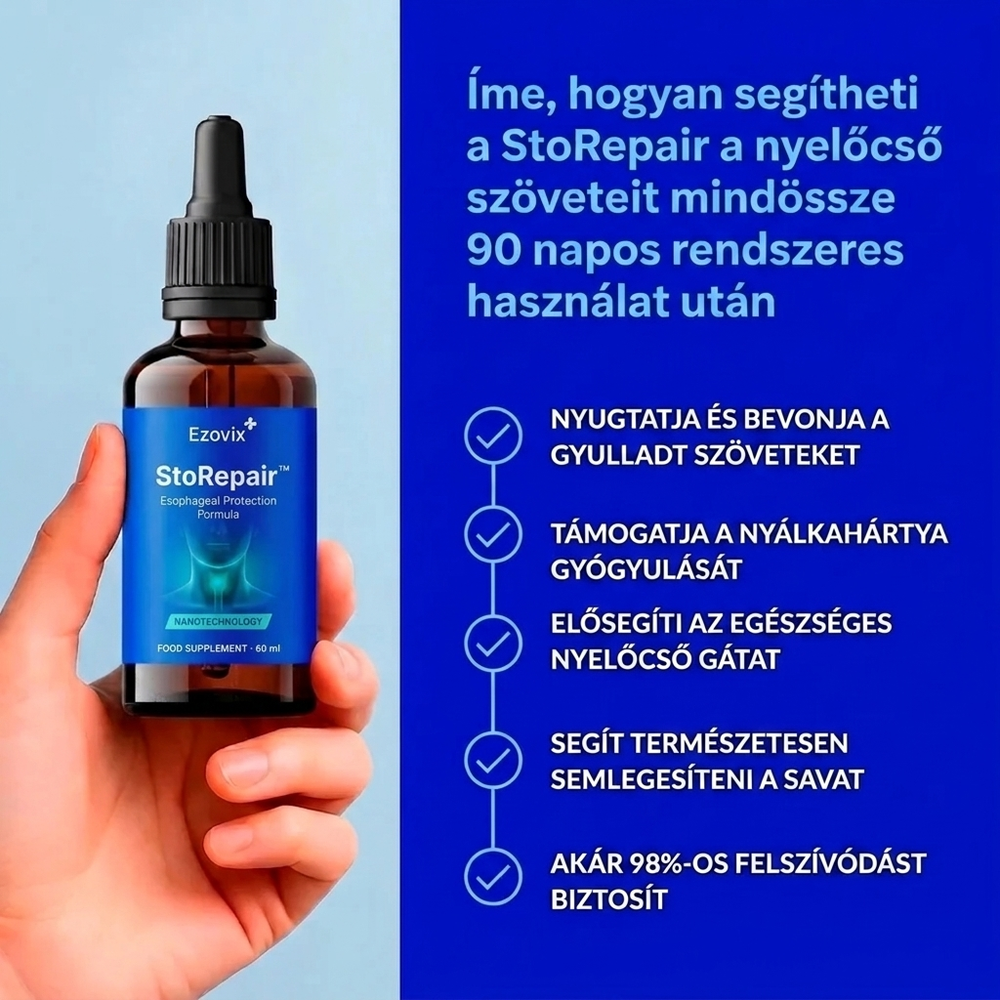 Ezovix - StoRepair